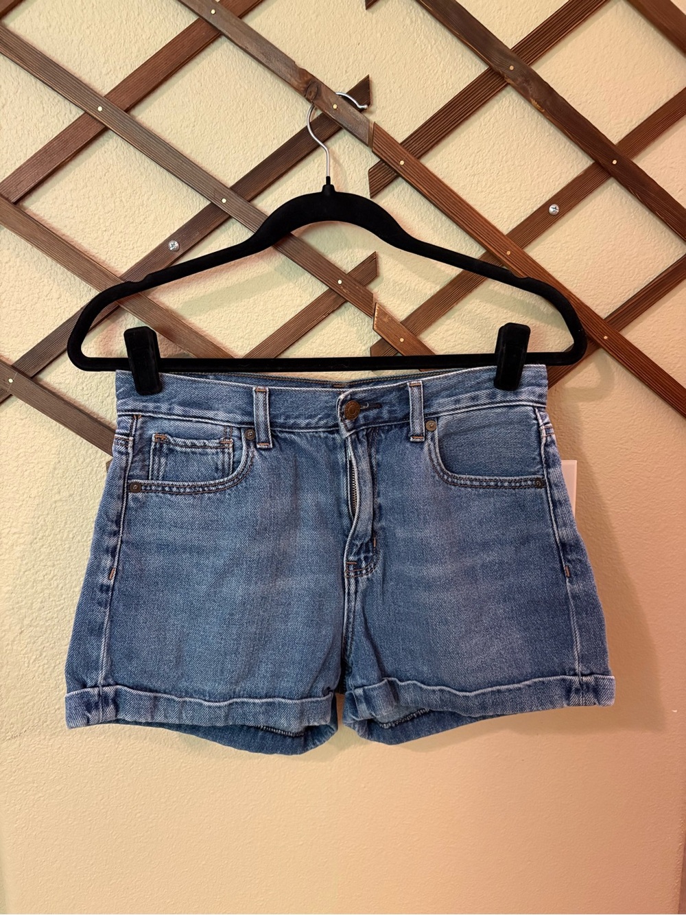 American Eagle Outfitters Light Blue Denim Cuffed Shorts